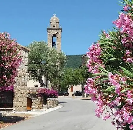 Maison En Corse