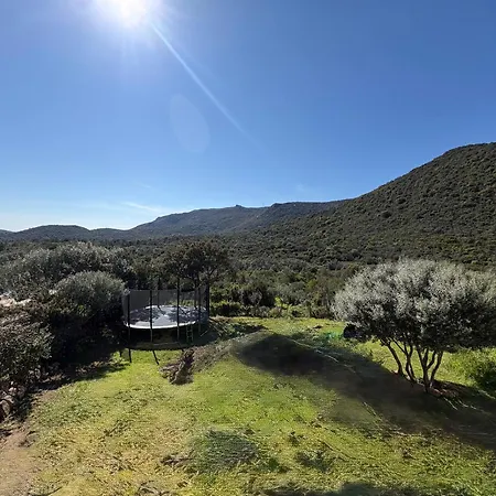 Maison En Corse 莫纳奇亚道勒内