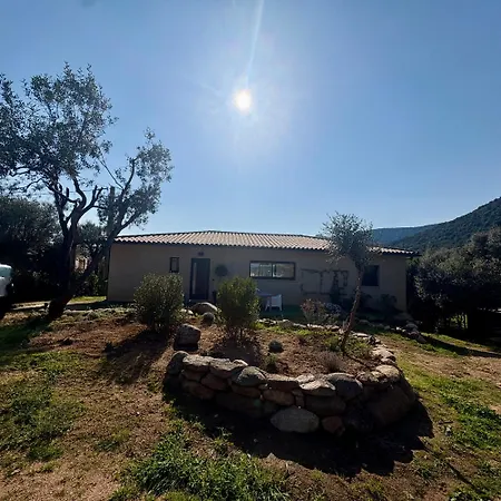 Holiday home Maison En Corse Monacia-d'Aullene
